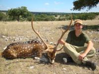 Free Range Axis Deer | Texas Exotics