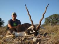 Free Range Axis Deer | Texas Exotics