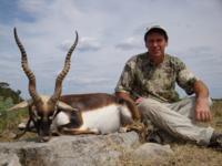 Free Range Axis Deer | Texas Exotics