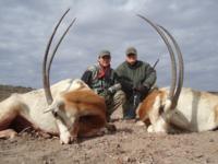 Free Range Axis Deer | Texas Exotics