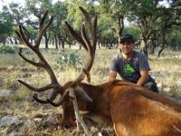 Free Range Axis Deer | Texas Exotics