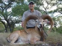 Free Range Axis Deer | Texas Exotics