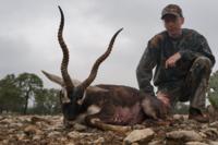 Free Range Axis Deer | Texas Exotics