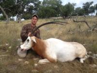 Free Range Axis Deer | Texas Exotics