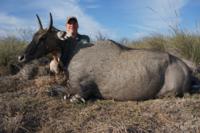 Free Range Axis Deer | Texas Exotics