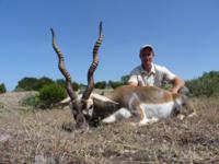 Free Range Axis Deer | Texas Exotics