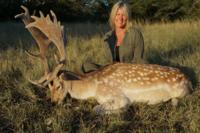 Free Range Axis Deer | Texas Exotics