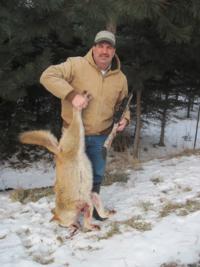 Maine Coyote & Snowshoe Hair 