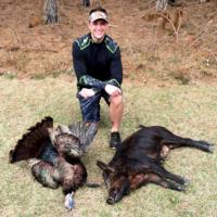 South Carolina Lowcountry Hogs