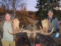 Northern Manitoba Moose