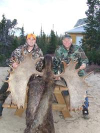 Northern Manitoba Moose