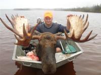 Northern Manitoba Moose