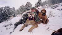 Utah and Colorado Cougar