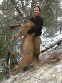 Utah and Colorado Cougar