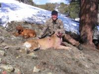 Utah and Colorado Cougar