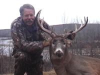 Alberta Mule Deer and Whitetails