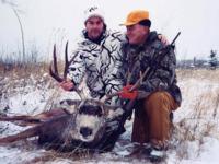 Alberta Mule Deer and Whitetails