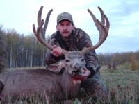 Alberta Mule Deer and Whitetails