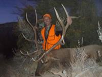 Colorado Mule Deer | West Central