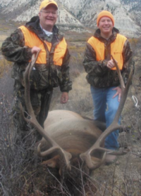 Colorado Mule Deer | West Central