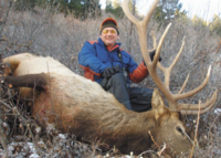 Colorado Mule Deer | West Central