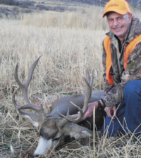 Colorado Mule Deer | West Central