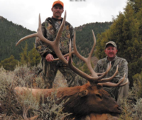 Colorado Mule Deer | West Central