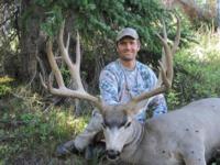 Colorado Mule Deer | West Central