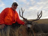 Montana Mule Deer