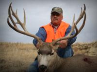 Montana Mule Deer