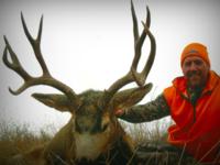 Montana Mule Deer