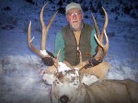 Montana Mule Deer