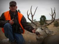 Montana Mule Deer