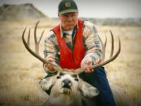 Montana Mule Deer