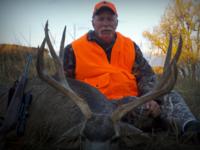 Montana Mule Deer