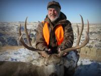 Montana Mule Deer