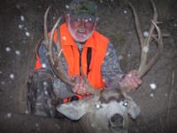 Montana Mule Deer