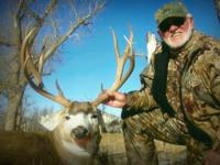 Montana Mule Deer