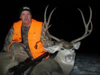 Montana Mule Deer