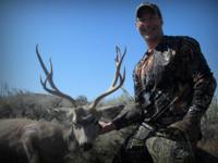 Montana Mule Deer