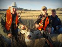 Montana Mule Deer