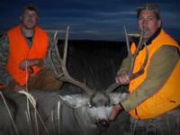 Montana Mule Deer