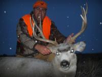 Montana Mule Deer