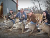 Montana Mule Deer