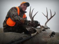 Montana Mule Deer