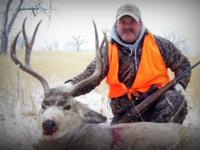 Montana Mule Deer