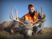 Montana Mule Deer