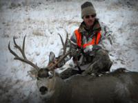 Montana Mule Deer