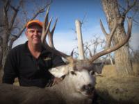 Montana Mule Deer