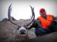 Montana Mule Deer